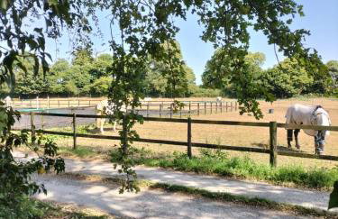 Cosy cottage with vineyard view near Goodwood Chichester - Foto 15