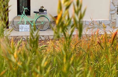 La Siesta del Naranjo - Foto 25