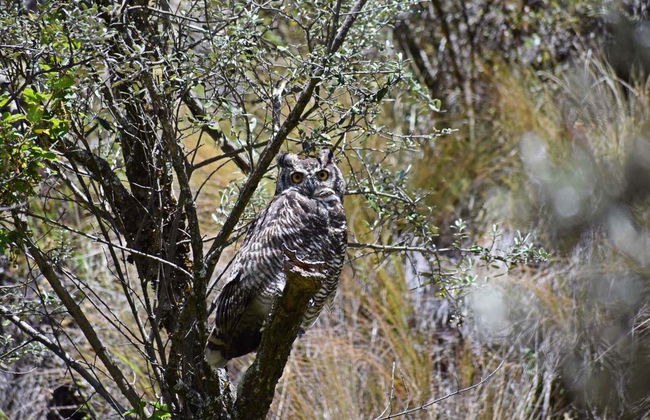Antisana National Park Tour - Photo 8