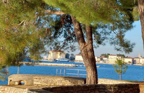 App OLIVE Old Town - Foto 16