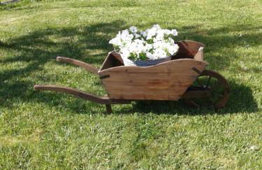 Podere Stollo - Foto 54