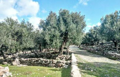 ''Koukmos beach'' Greenspace Living - Private sandy beach - Foto 33