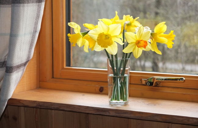 The Cabins, Loch Awe - Foto 16