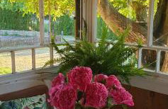 Żuławska Chata - Foto 30