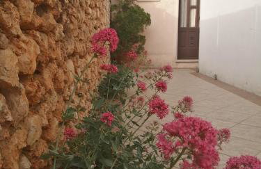 Apartments Borovina - Foto 29