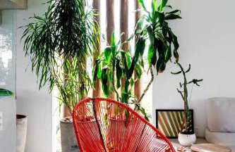 Casa Seriguela - Praia do Patacho - Rota Ecológica dos Milagres - Foto 11