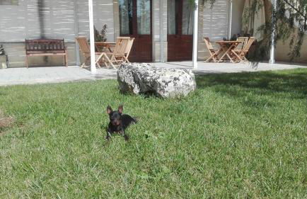 Masseria Sucéa - Foto 74