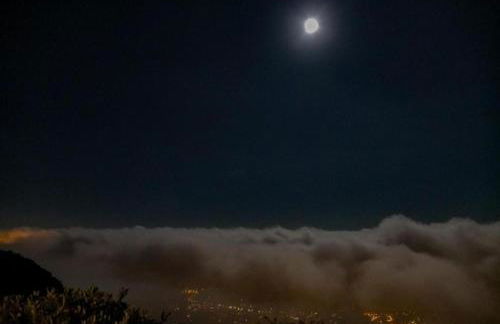 Domaine du Bois d'Amont - Foto 64