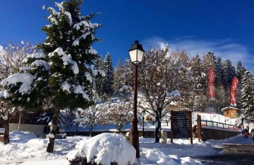 La Montagnarde avec vue imprenable - station Doucy Valmorel - 4pers - Foto 2