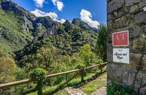 Aguas Parque Ponga - Foto 38