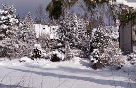 Góralski dom w Parku Krajobrazowym - Foto 28