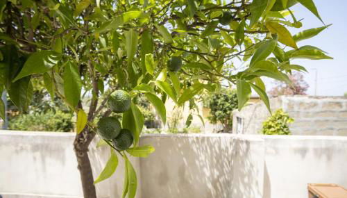 La Casuzza di Sara - Foto 5