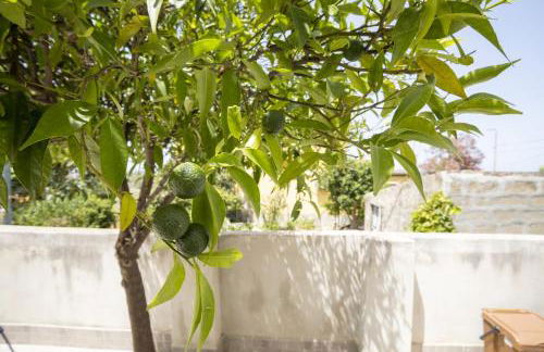 La Casuzza di Sara - Foto 5