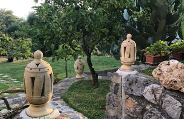 Il Vicolo Palinuro - Photo 8