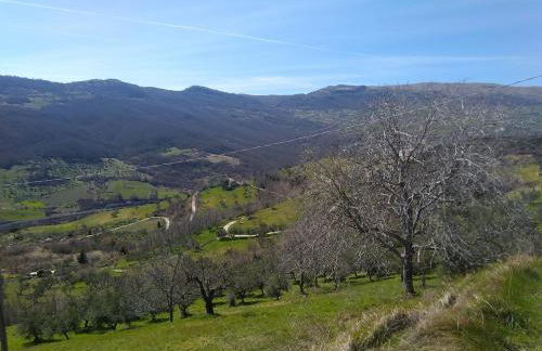 Casa nei 3 alberi, Molise - Foto 41