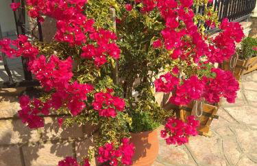 Simos Apartments - Photo 67