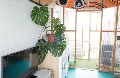 Hoblyns Cove - Foto 22