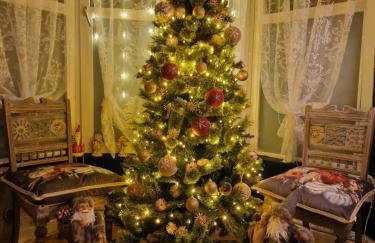 Town Cottage ground floor appartment - Foto 39