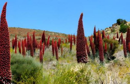 Casa Rural Kiko - Foto 29