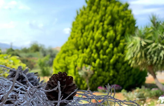 Stunning 3-bedroom Villa Near Malia Beach - Foto 42