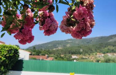 A casinha - Foto 10