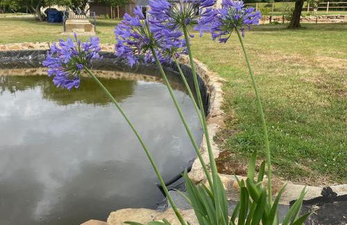 Gîte confortable à la campagne, 2 chambres, vue dégagée - FR-1-622-118 - Photo 27