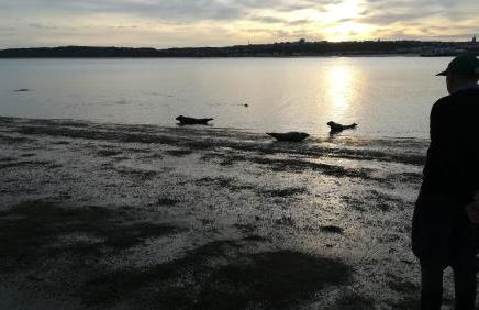 Appartement l'Estivalière face à la mer - Foto 31