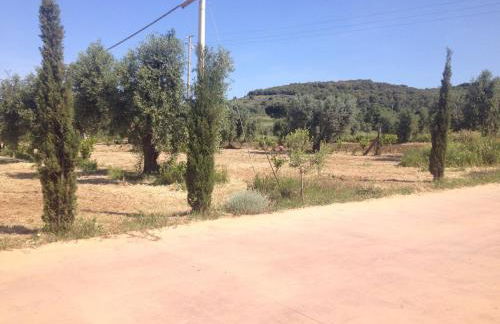 dalla campagna al mare - Foto 21