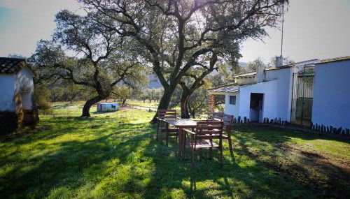 Coto Mina Concepcion - Foto 3, Garden, Garden view