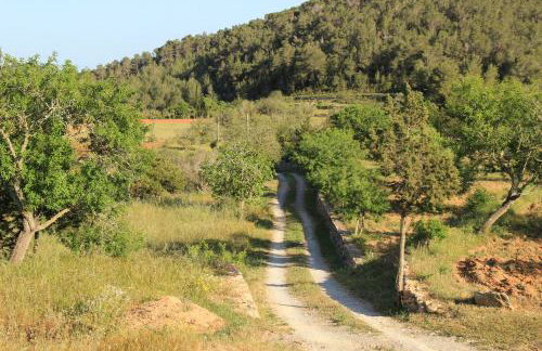 Casa Vilda - Photo 14