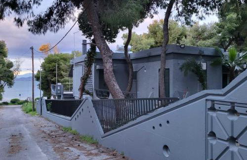 Dilion Guest House - Foto 3