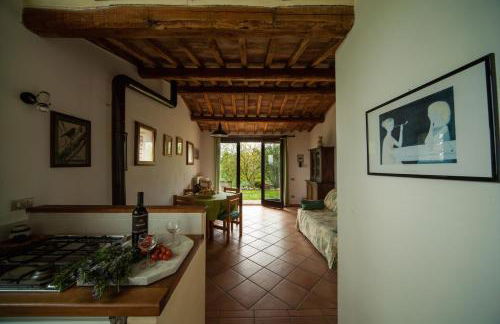 Podere Porcino - Foto 4