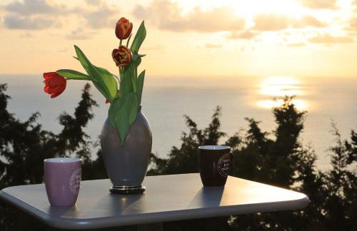 Alibertini Studios 1 - Foto 5