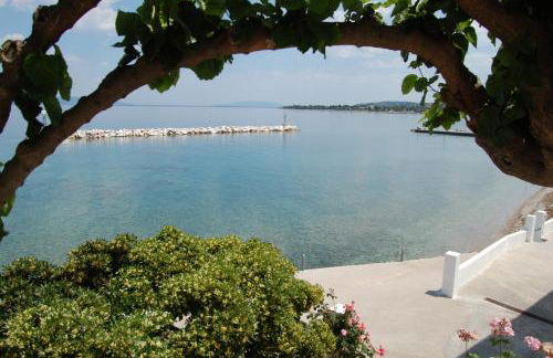 Asmini Studios - Foto 45