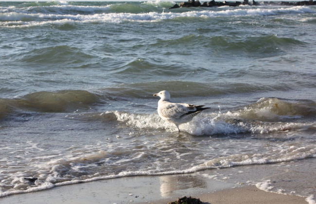 Lieselotte Modern Retreat - Foto 18