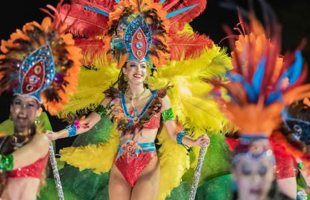 Villa Amazing View Funchal - Lux & Pool - Foto 22