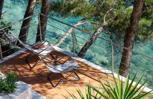 Pine Tree Apartment Zanetic - Photo 34