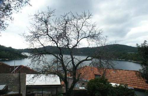 Apartments by the sea Babine Kuce, Mljet - 610 - Photo 14