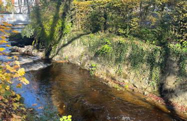 Schöne Aussicht - charmante Ferienwohnung mit Pool und Sauna in Bad Harzburg - Foto 42