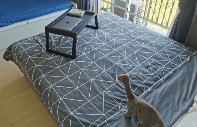 Kampar Champs Elysees 4pax Homestay - Foto 9