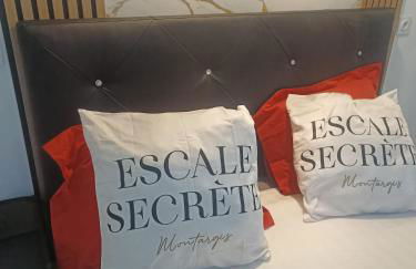 Escale secrète Montargis Jacuzzi Terrasse Parking gratuit - Photo 13