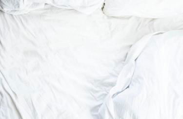 Wildgrün Mini Lodge 2 - Foto 10