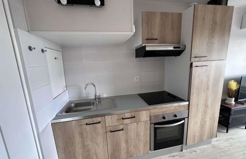 Bel appartement rénové 2 pièces avec clim et parking privé pour 4 personnes à Port Camargue - FR-1-731-153 - Photo 10