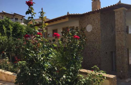 Platanus Gardenhouse - Foto 25