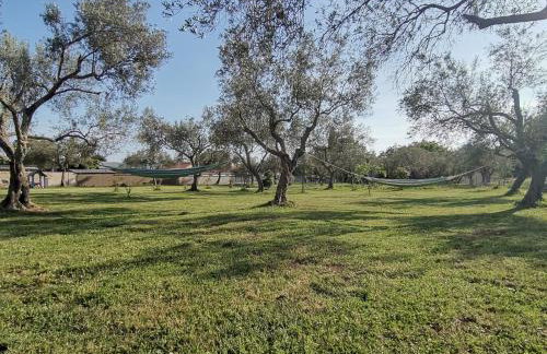 Olive Garden 2 - Foto 16