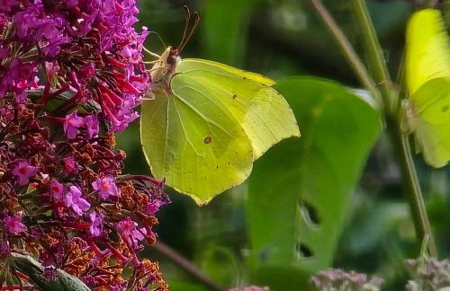 Exklusive Ferienwohnung Bad Salzschlirf - direkt am Waldrand - großer Garten kompett umzäunt - Hunde willkommen - 2 private Stellplätze - Foto 60