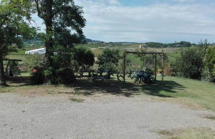 Agriturismo La Chiesina - Foto 5