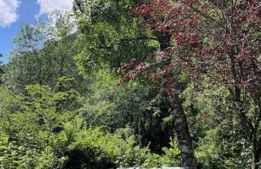 Large peaceful chalet for mountain adventures! Perfect for Flégère and Grand Montet skiing - Foto 74