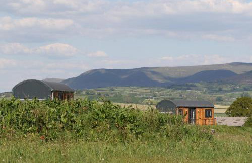 Oak Moor Shepherd Hut - Brecon Beacons, LD3 7TD - Foto 64