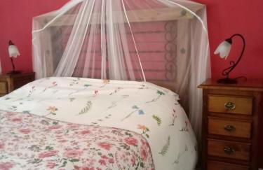 Vista Terraza Illora - Foto 13